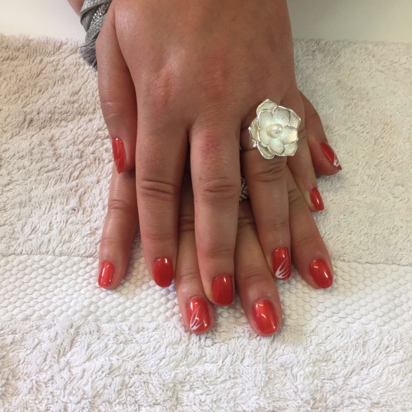 Pose de gel bio sculpture avec 4 décors